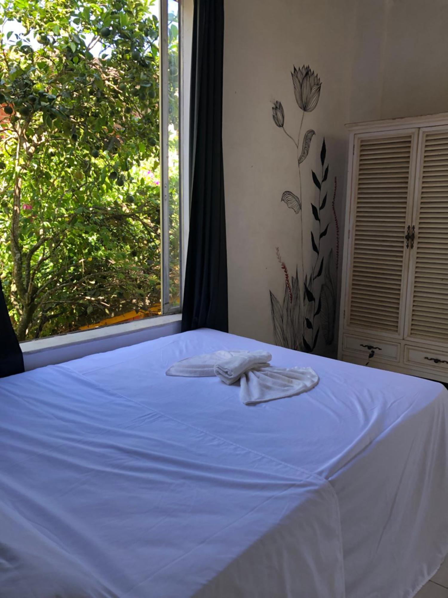 Banana Leaf Eco Hostel リオデジャネイロ エクステリア 写真