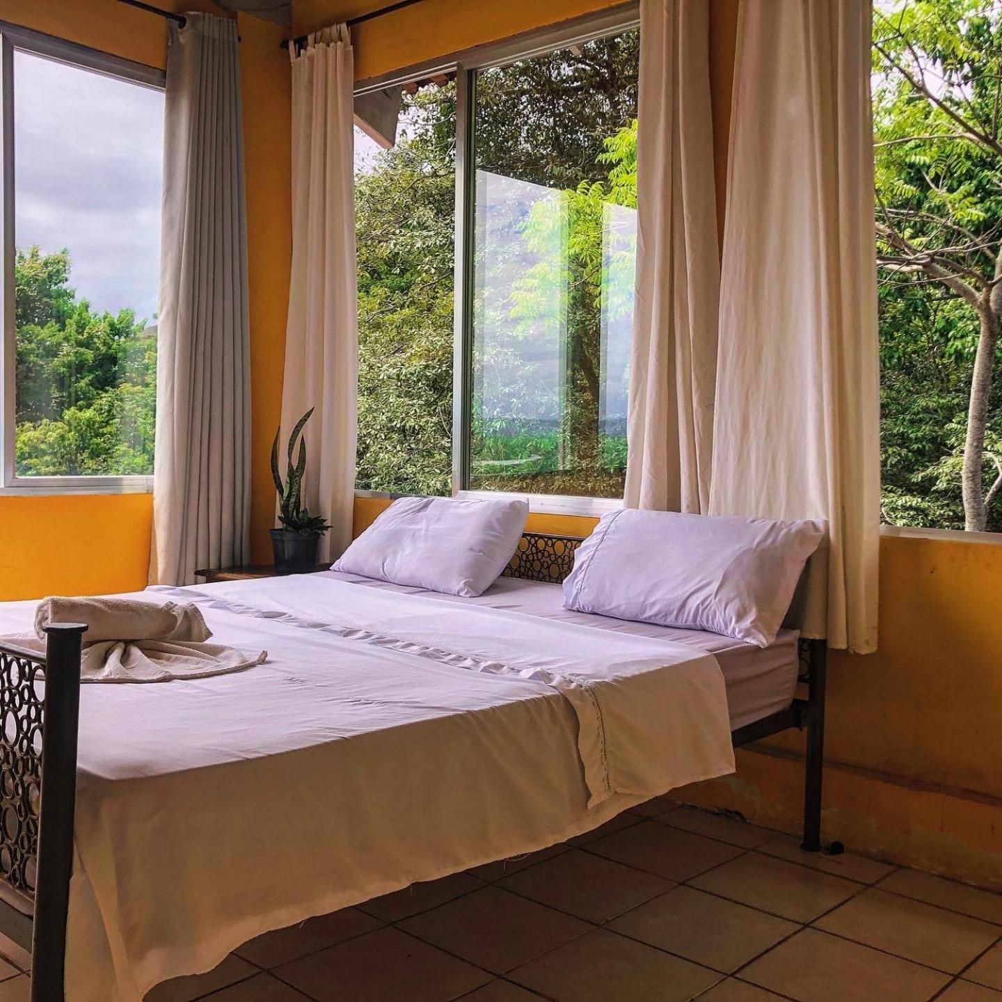Banana Leaf Eco Hostel リオデジャネイロ エクステリア 写真